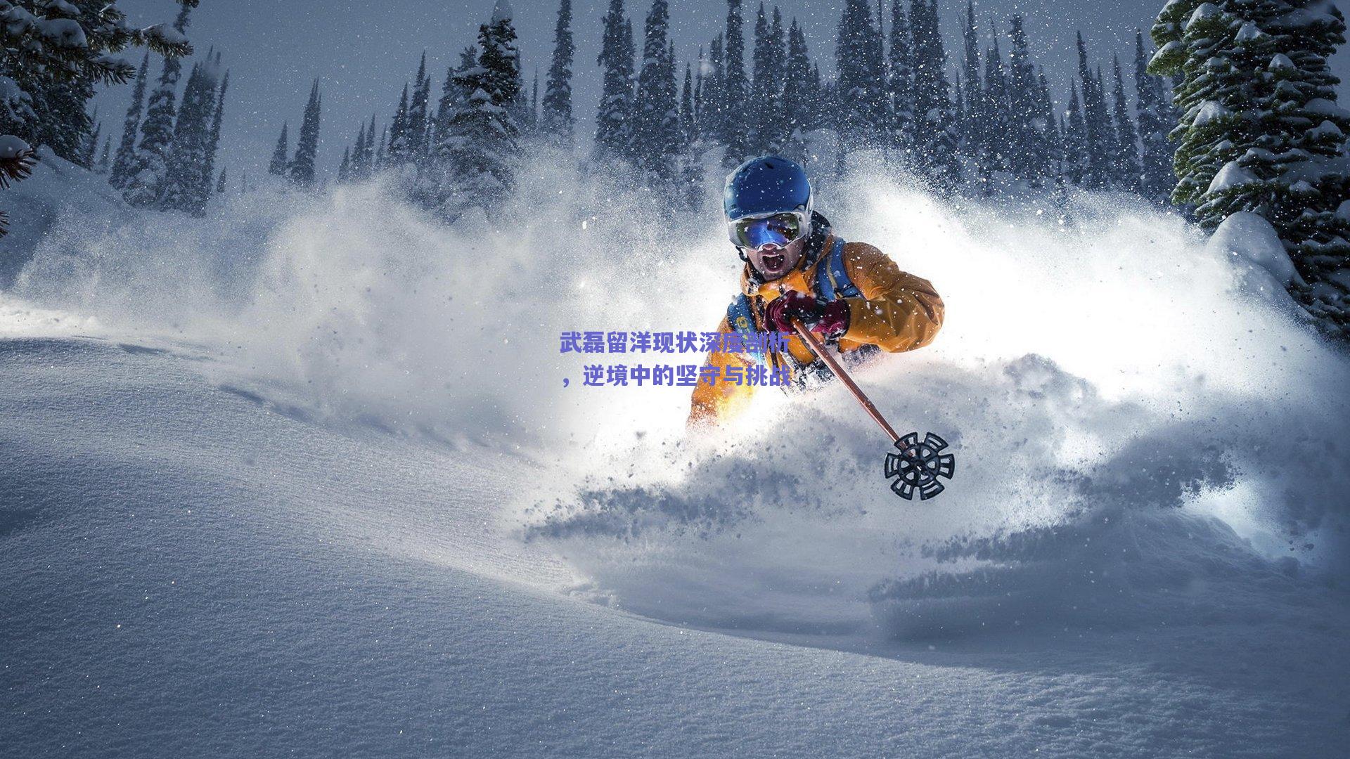 武磊留洋现状深度剖析，逆境中的坚守与挑战